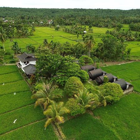 Gino'S Place - Guest House & Jungle Trekking 武吉拉旺 外观 照片