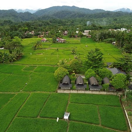 Gino'S Place - Guest House & Jungle Trekking 武吉拉旺 外观 照片