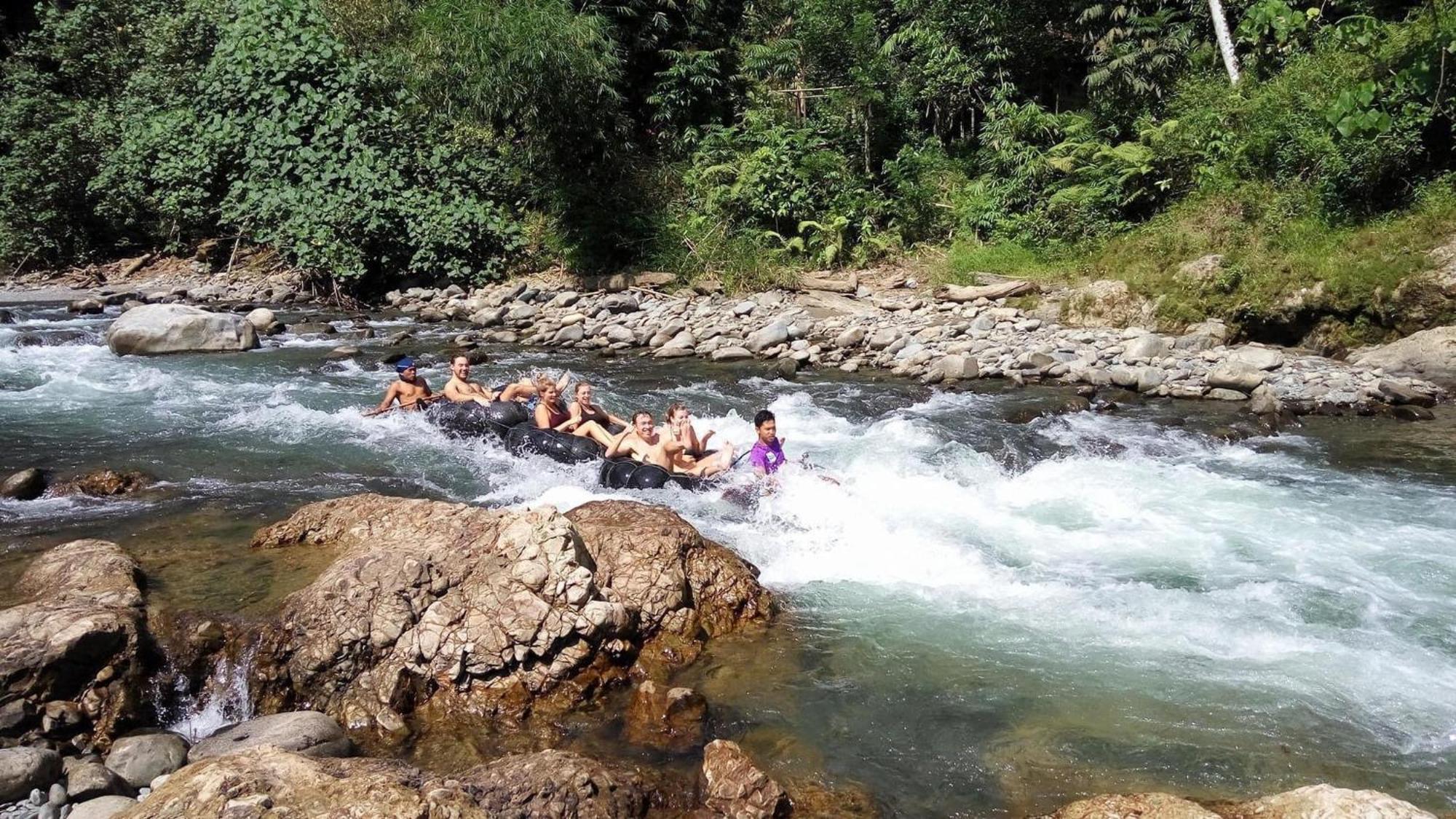 Gino'S Place - Guest House & Jungle Trekking 武吉拉旺 外观 照片
