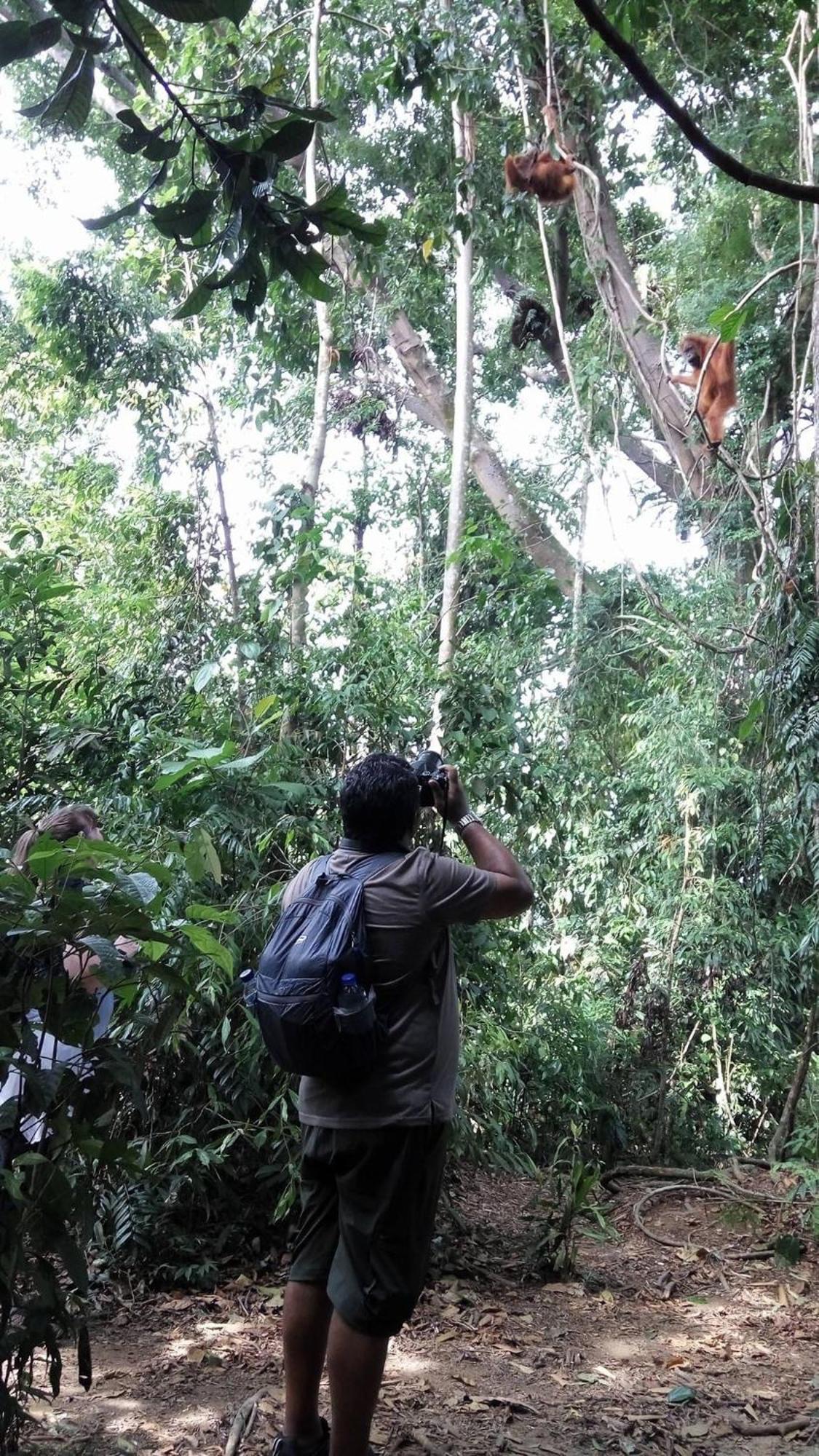 Gino'S Place - Guest House & Jungle Trekking 武吉拉旺 外观 照片
