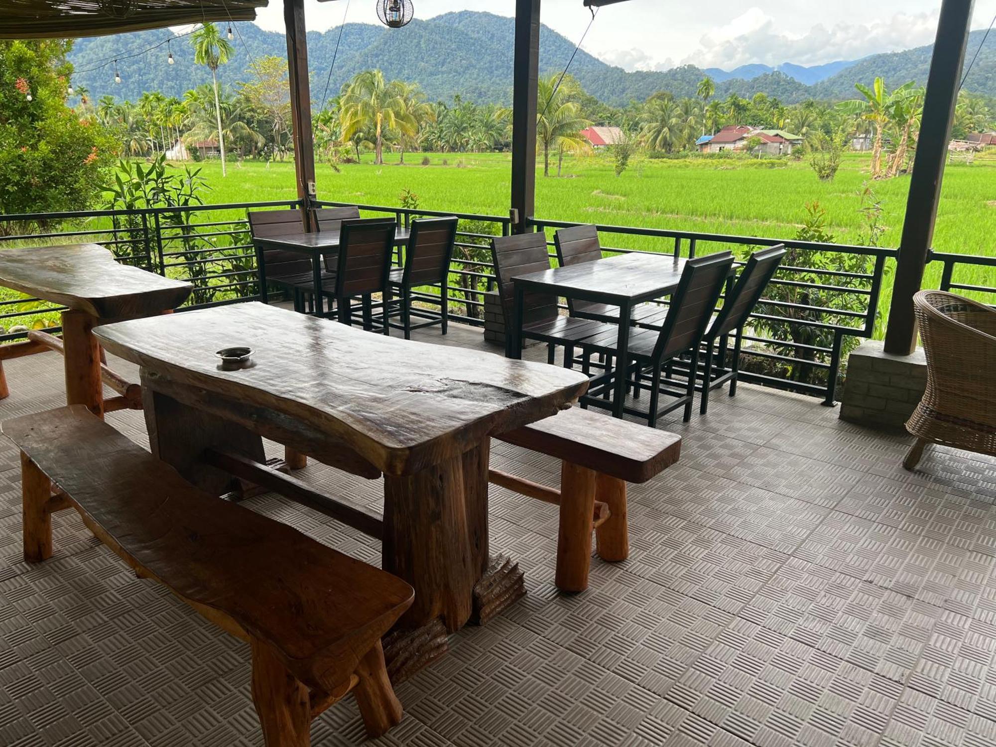 Gino'S Place - Guest House & Jungle Trekking 武吉拉旺 外观 照片