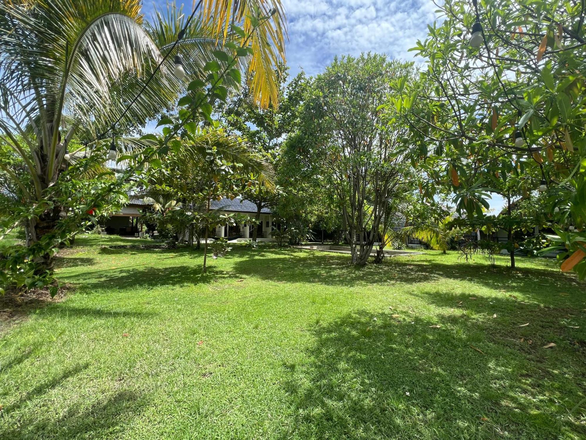 Gino'S Place - Guest House & Jungle Trekking 武吉拉旺 外观 照片