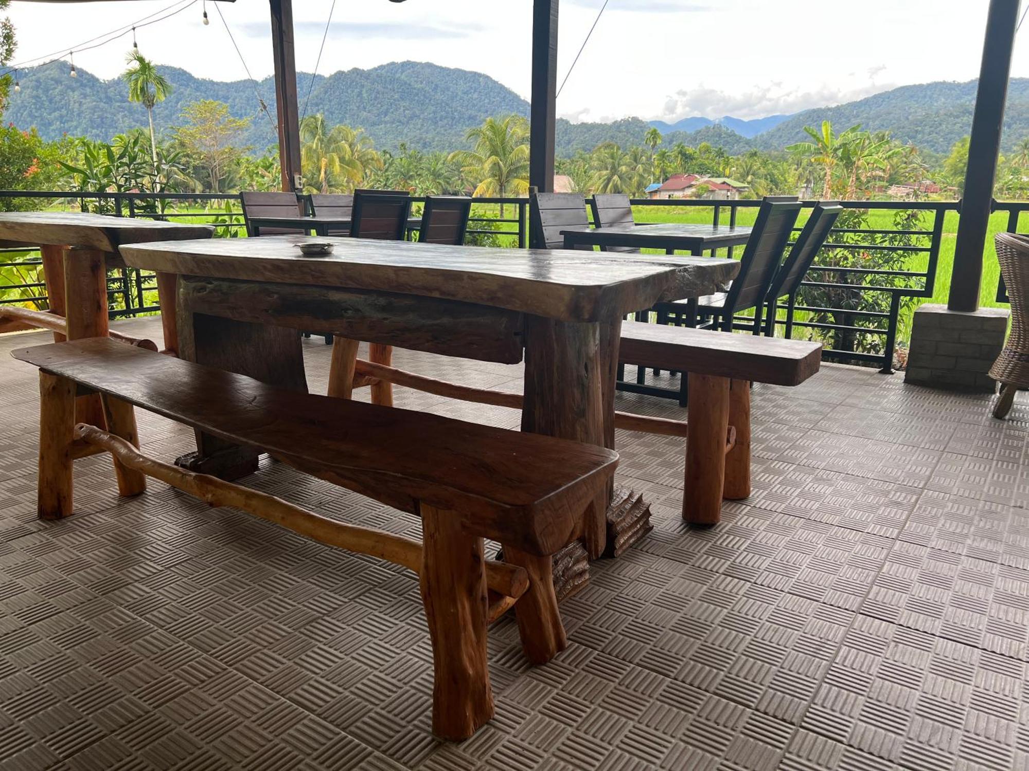 Gino'S Place - Guest House & Jungle Trekking 武吉拉旺 外观 照片
