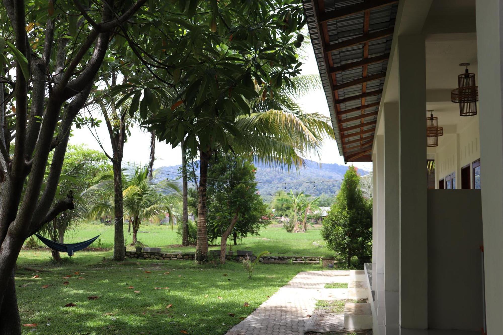 Gino'S Place - Guest House & Jungle Trekking 武吉拉旺 外观 照片