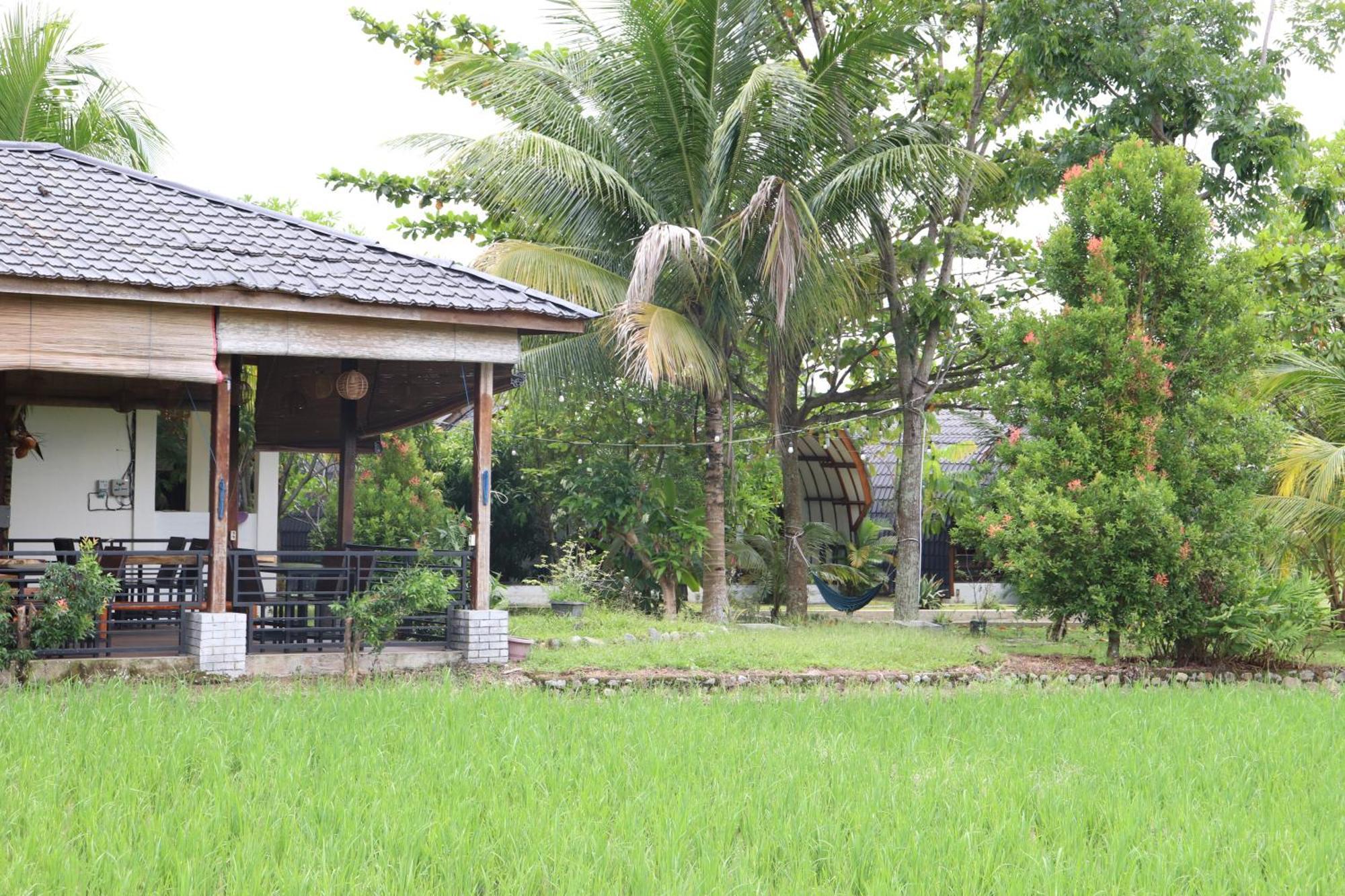 Gino'S Place - Guest House & Jungle Trekking 武吉拉旺 外观 照片