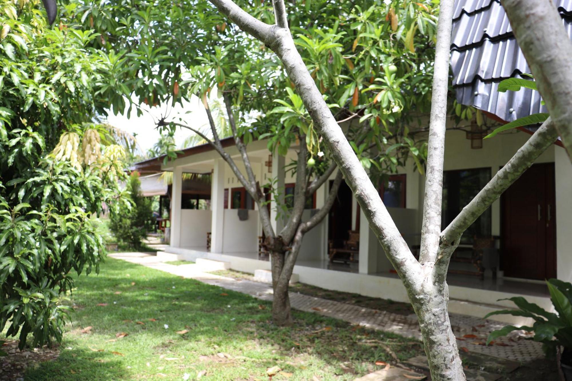Gino'S Place - Guest House & Jungle Trekking 武吉拉旺 外观 照片