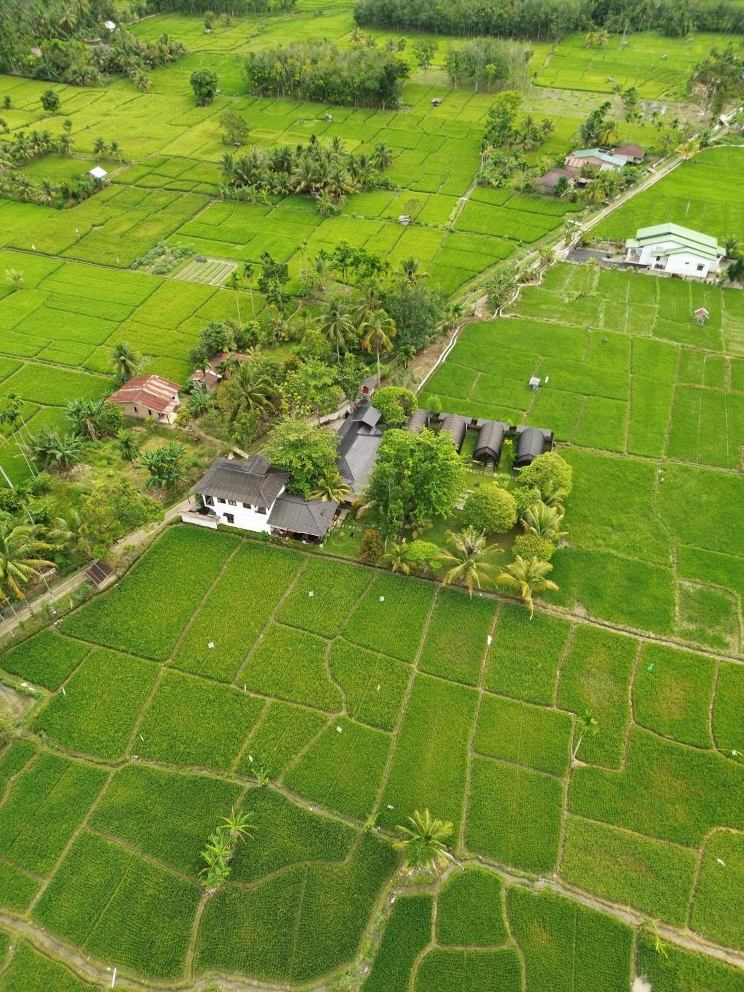 Gino'S Place - Guest House & Jungle Trekking 武吉拉旺 外观 照片